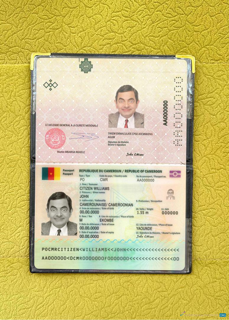 Download Cameroon passport 2021 present photolook Photoshop template